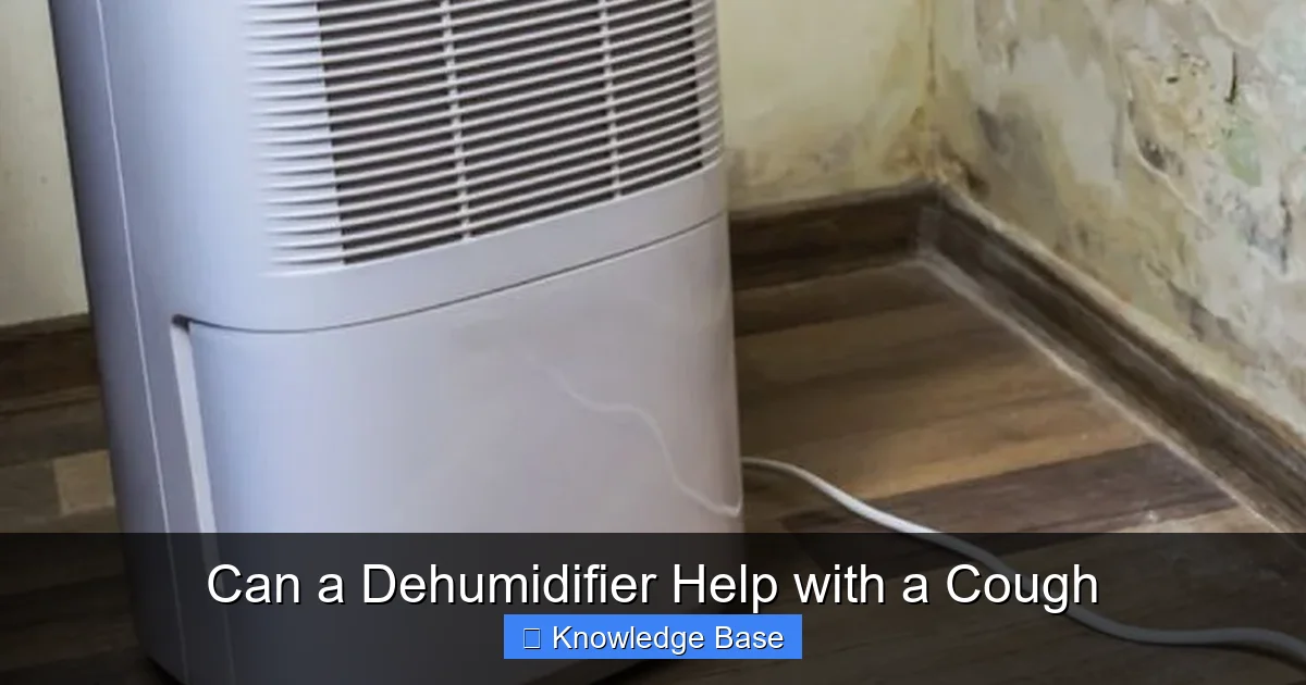 Can a Dehumidifier Help with a Cough