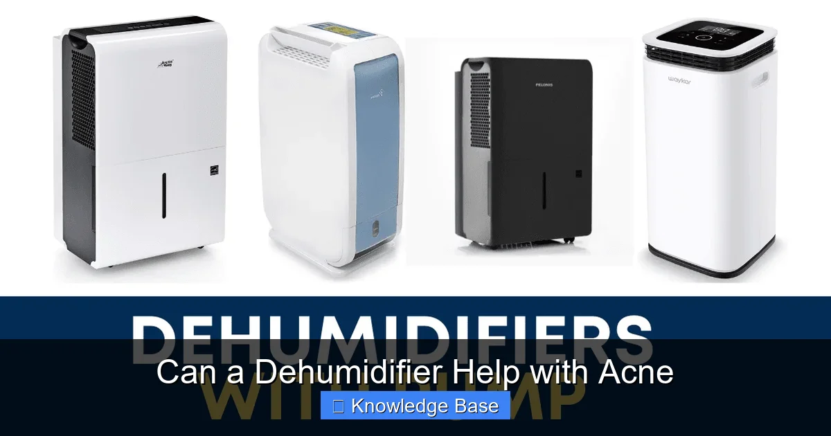 Can a Dehumidifier Help with Acne