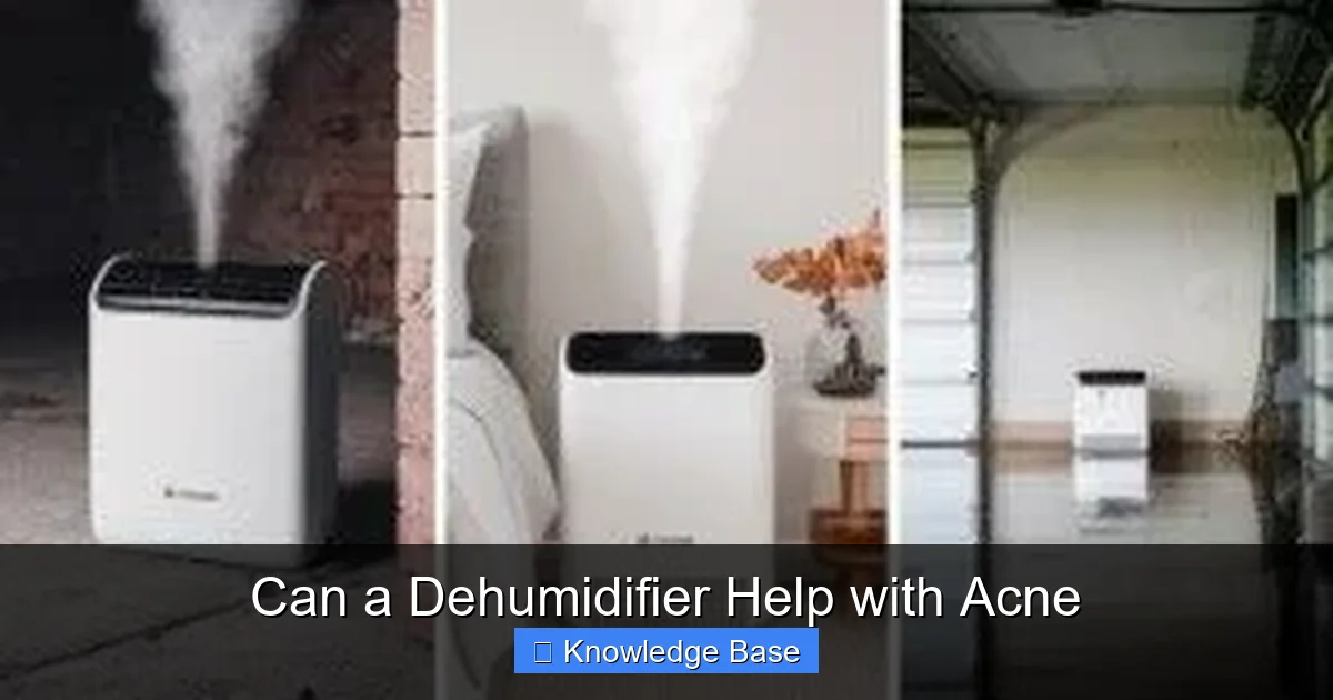 Can a Dehumidifier Help with Acne