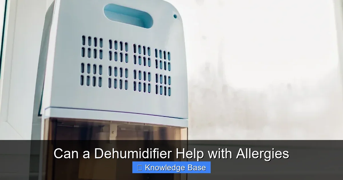 Can a Dehumidifier Help with Allergies