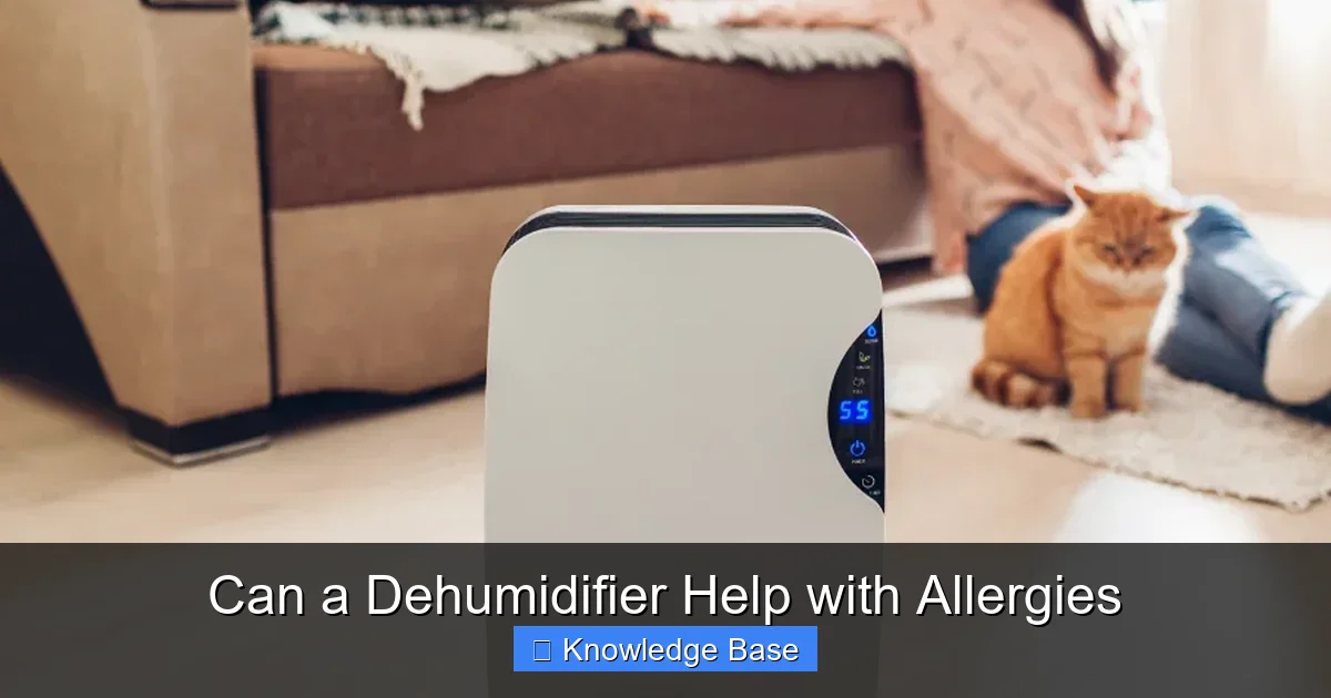Can a Dehumidifier Help with Allergies