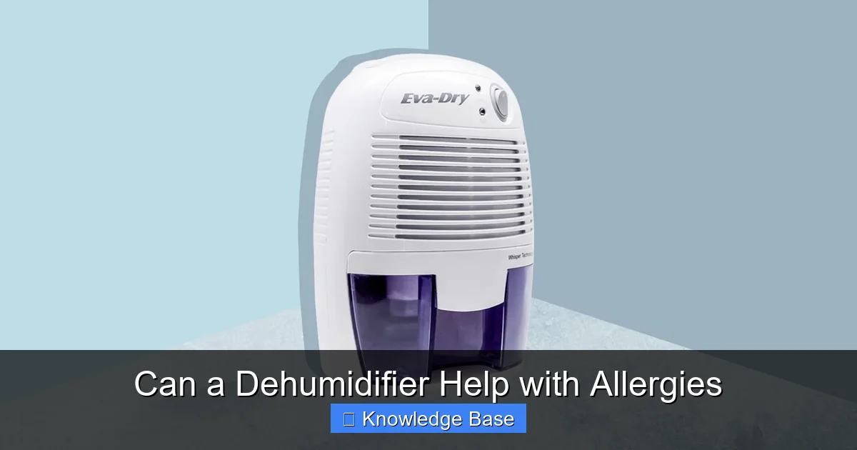 Can a Dehumidifier Help with Allergies