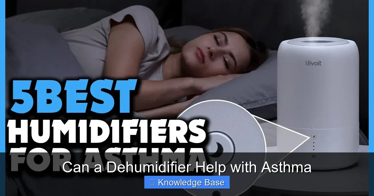 Can a Dehumidifier Help with Asthma