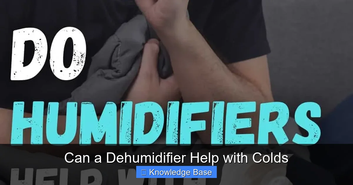 Can a Dehumidifier Help with Colds