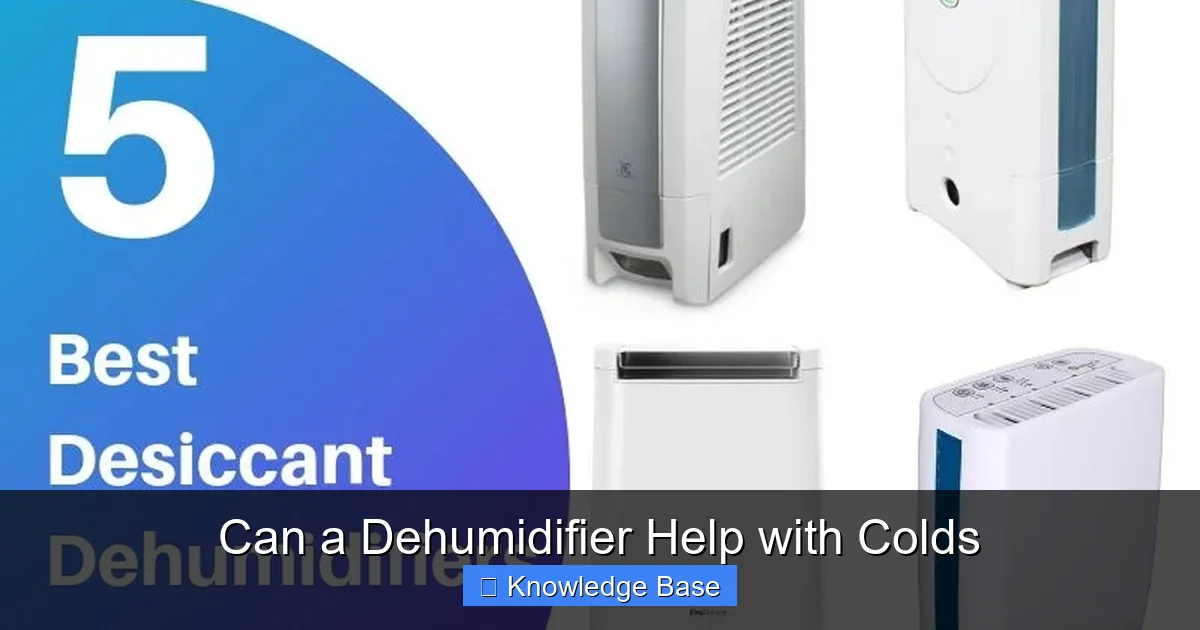 Can a Dehumidifier Help with Colds