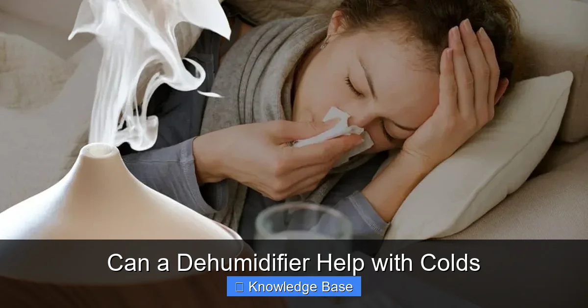 Can a Dehumidifier Help with Colds