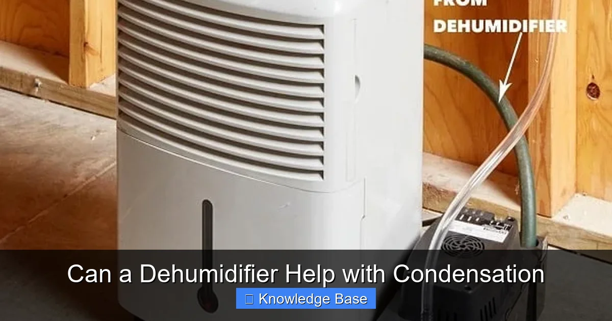 Can a Dehumidifier Help with Condensation
