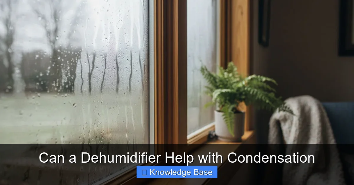 Can a Dehumidifier Help with Condensation