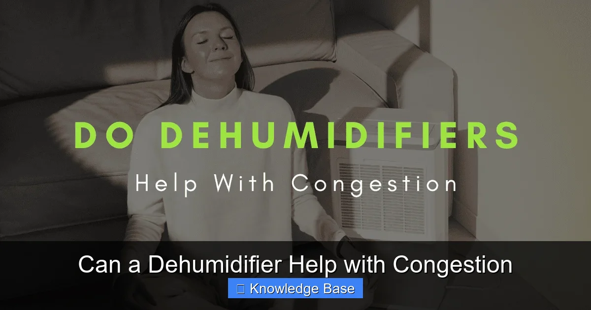 Can a Dehumidifier Help with Congestion