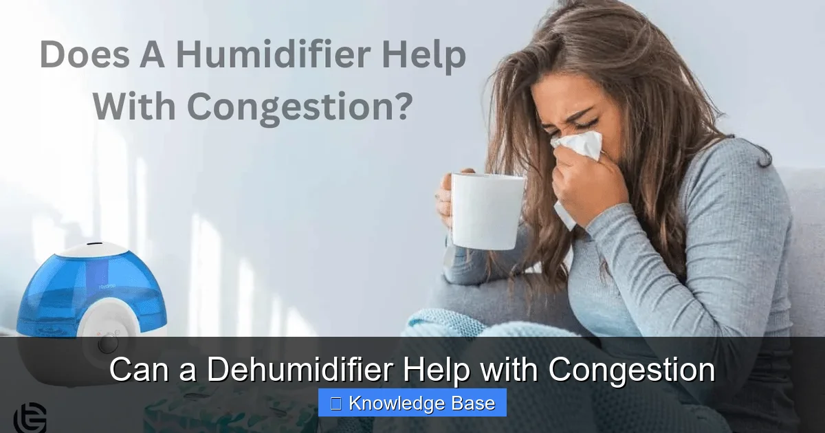 Can a Dehumidifier Help with Congestion