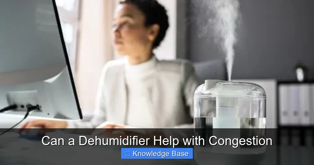 Can a Dehumidifier Help with Congestion