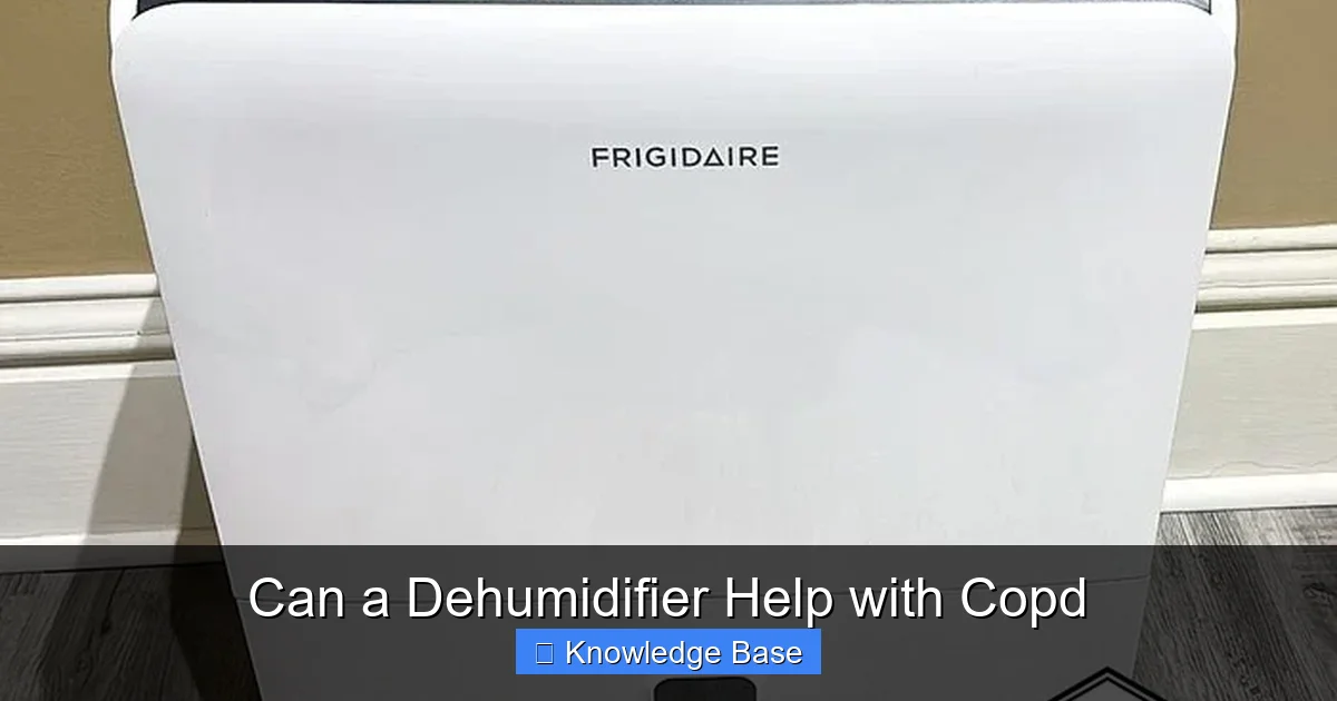 Can a Dehumidifier Help with Copd