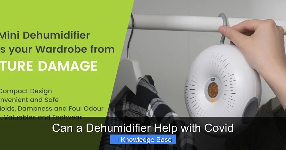 Can a Dehumidifier Help with Covid