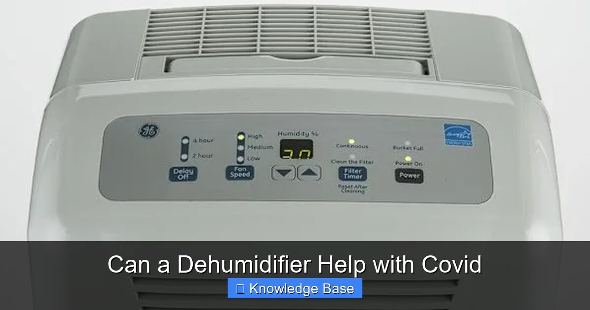 Can a Dehumidifier Help with Covid