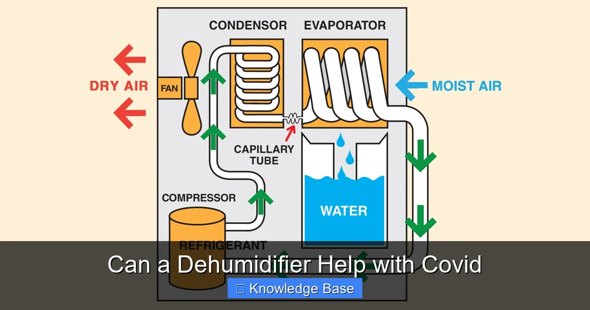 Can a Dehumidifier Help with Covid
