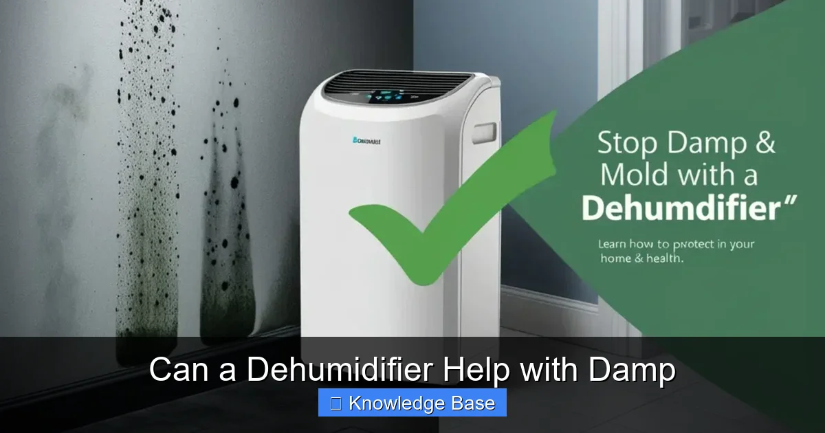 Can a Dehumidifier Help with Damp