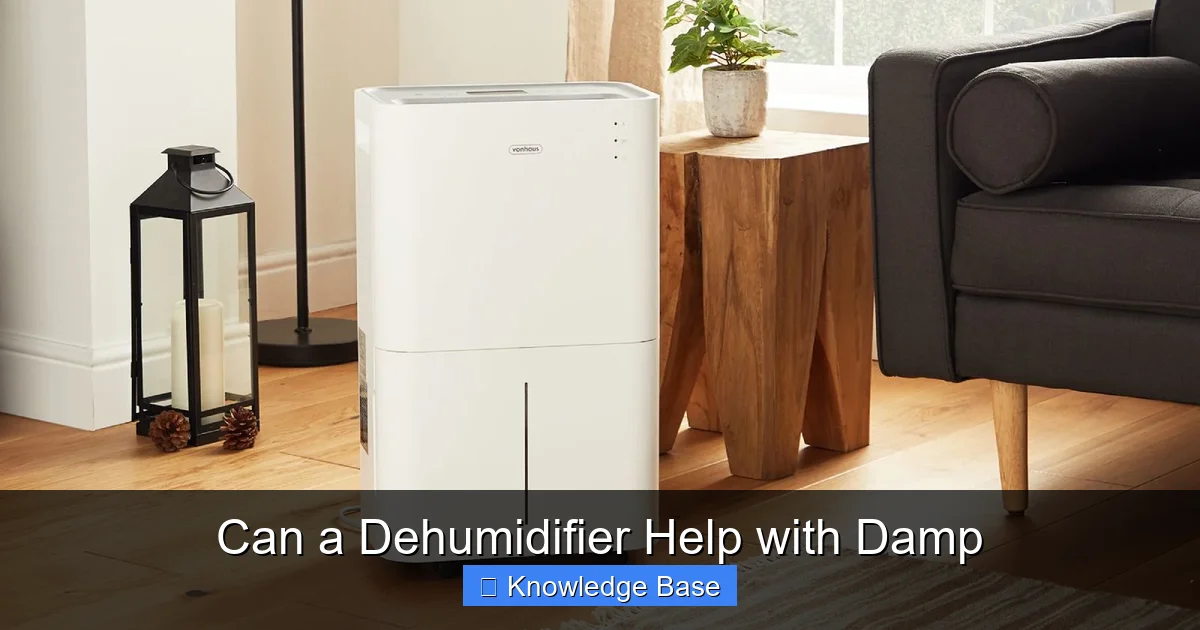 Can a Dehumidifier Help with Damp