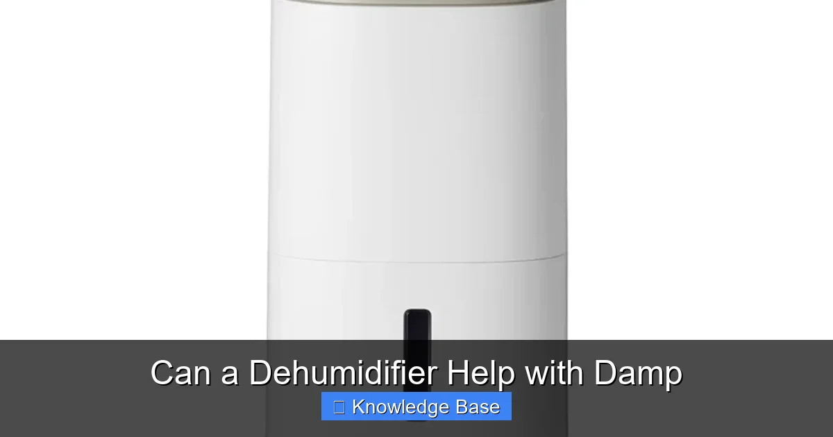 Can a Dehumidifier Help with Damp