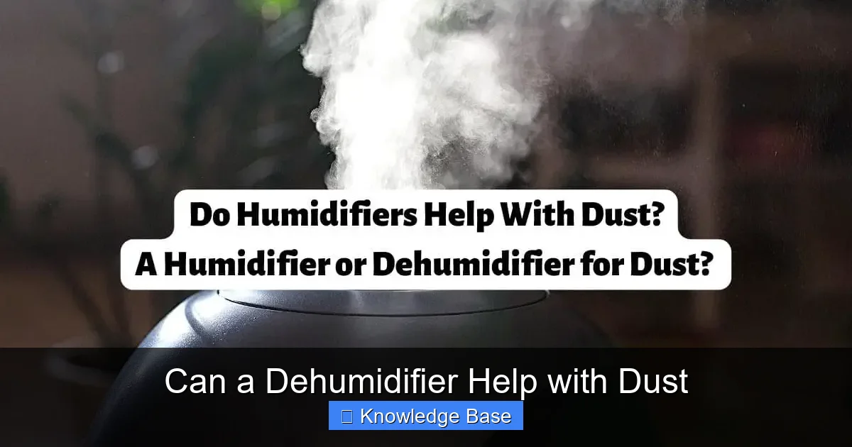 Can a Dehumidifier Help with Dust
