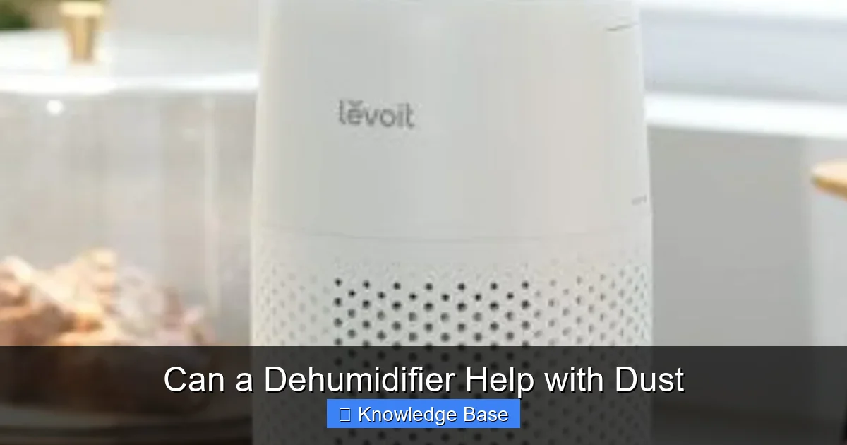 Can a Dehumidifier Help with Dust