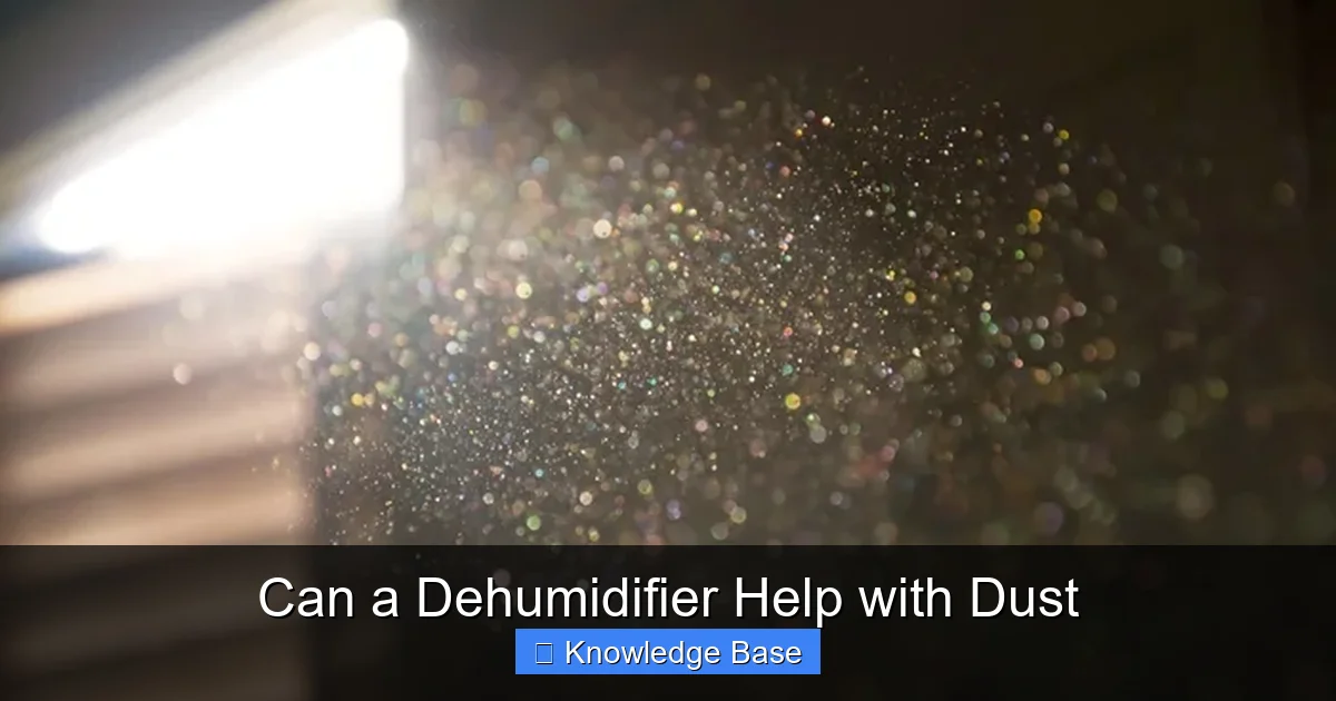 Can a Dehumidifier Help with Dust