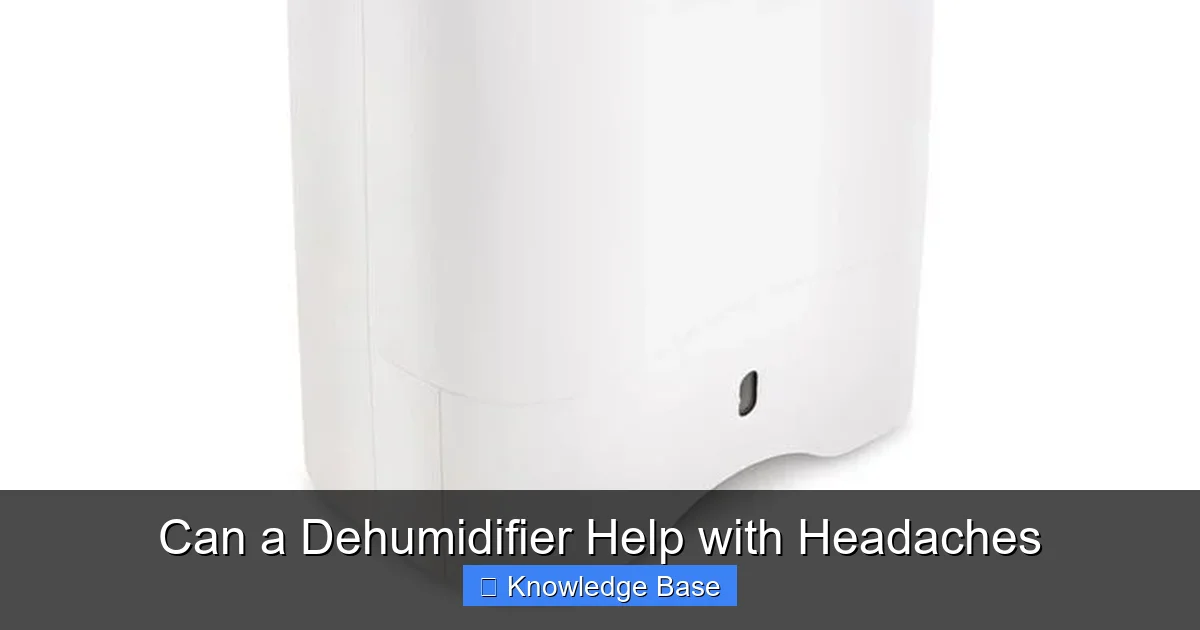 Can a Dehumidifier Help with Headaches