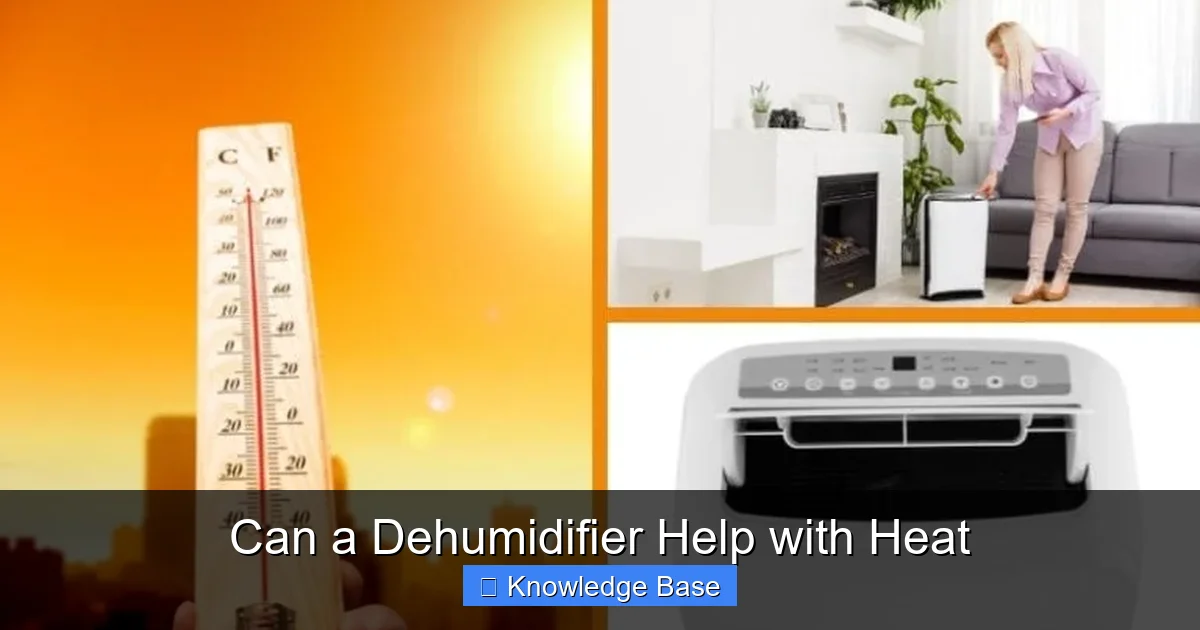 Can a Dehumidifier Help with Heat