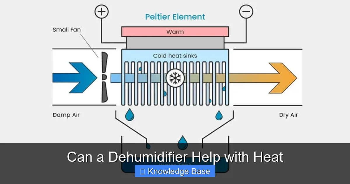 Can a Dehumidifier Help with Heat