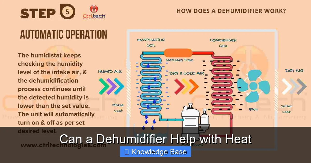 Can a Dehumidifier Help with Heat