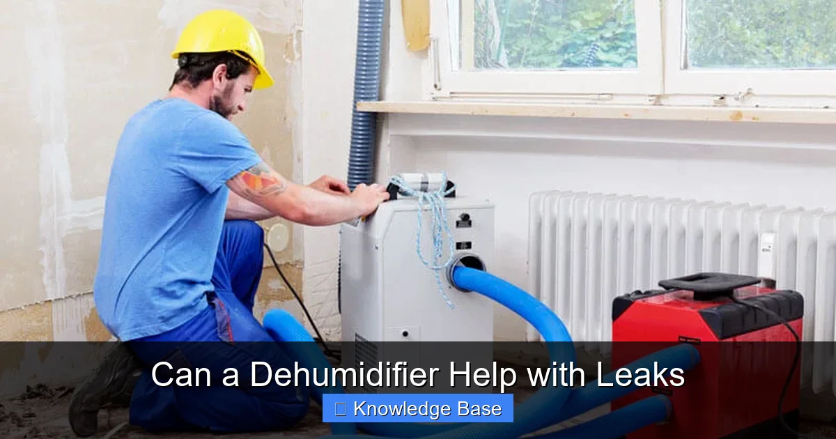 Can a Dehumidifier Help with Leaks
