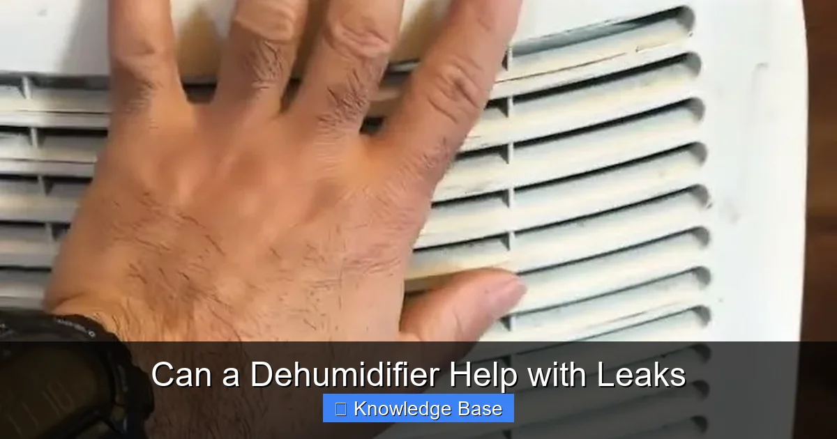 Can a Dehumidifier Help with Leaks
