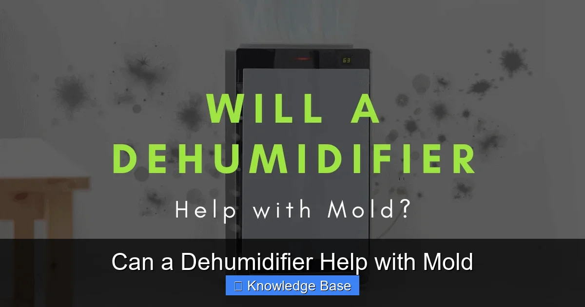 Can a Dehumidifier Help with Mold