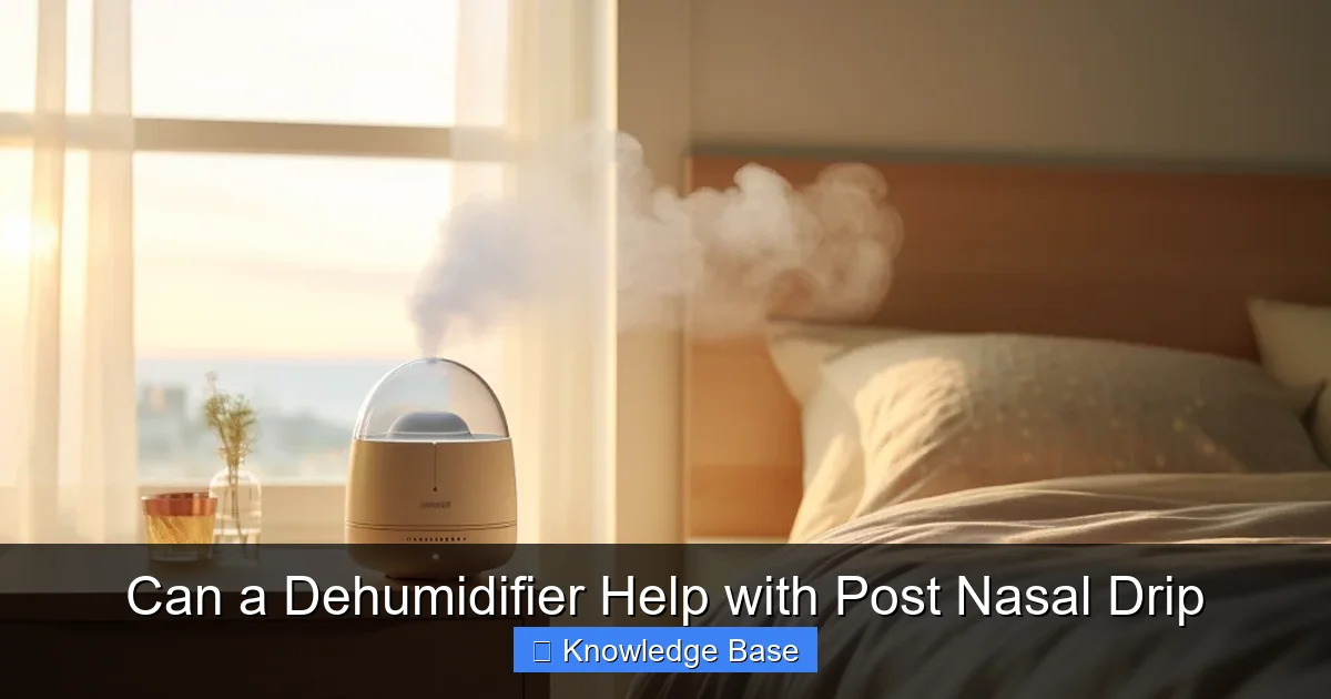 Can a Dehumidifier Help with Post Nasal Drip