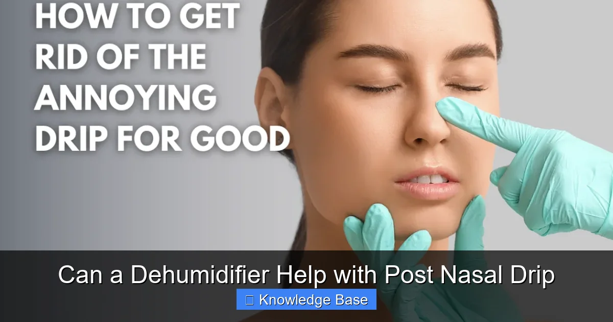 Can a Dehumidifier Help with Post Nasal Drip