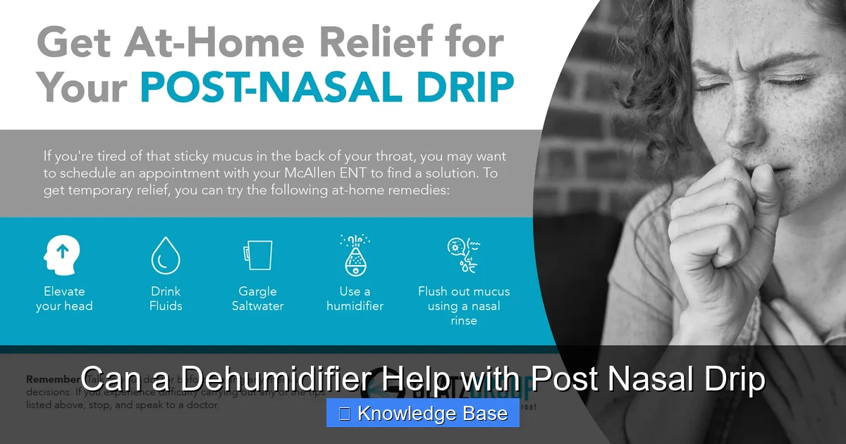 Can a Dehumidifier Help with Post Nasal Drip