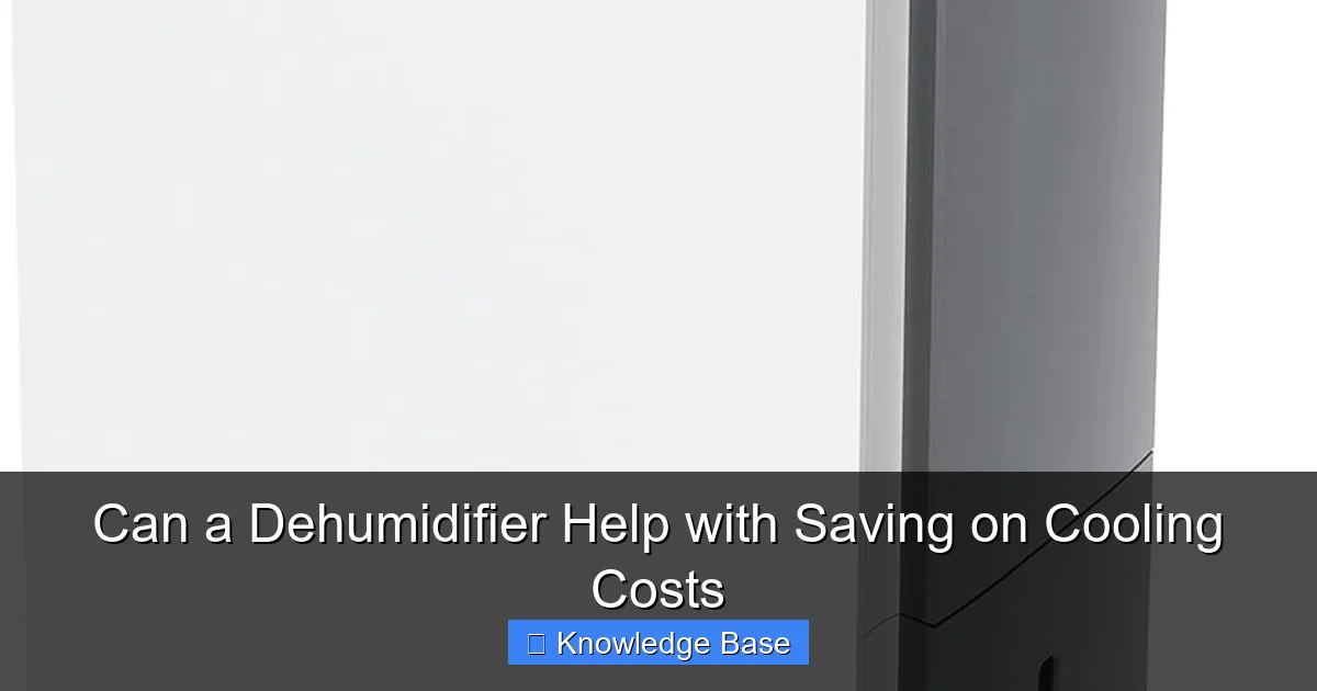 Can a Dehumidifier Help with Saving on Cooling Costs