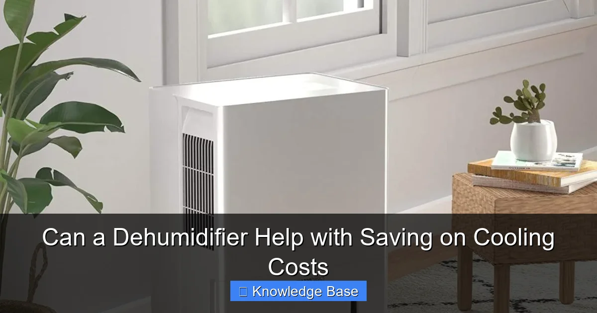 Can a Dehumidifier Help with Saving on Cooling Costs