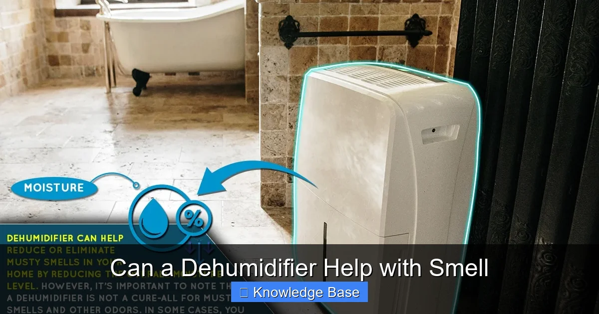 Can a Dehumidifier Help with Smell
