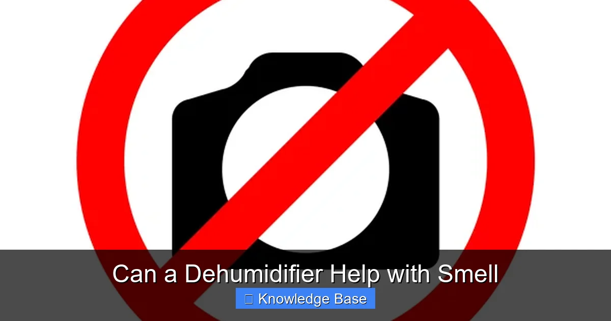 Can a Dehumidifier Help with Smell
