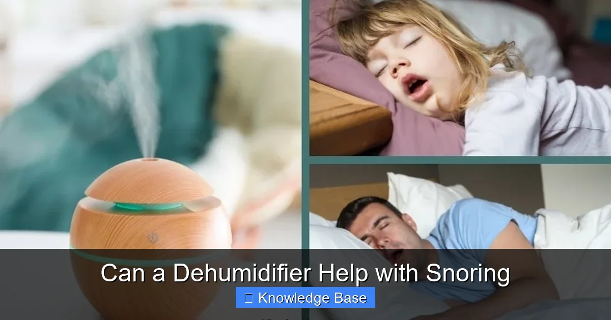 Can a Dehumidifier Help with Snoring