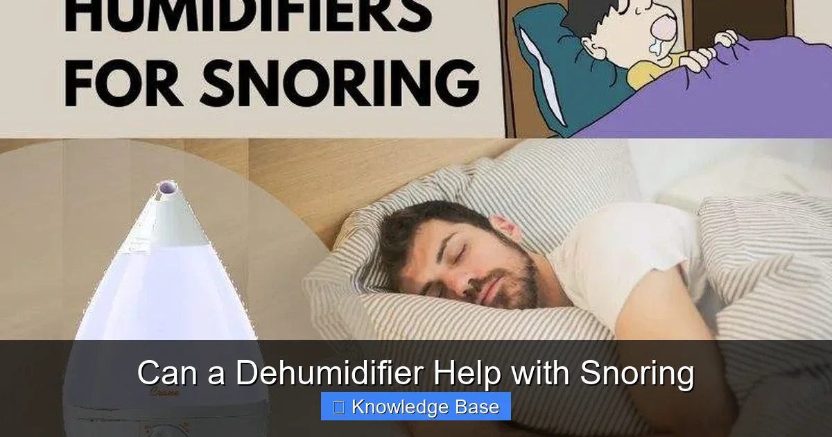 Can a Dehumidifier Help with Snoring
