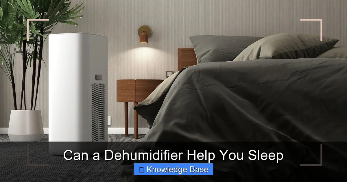Can a Dehumidifier Help You Sleep