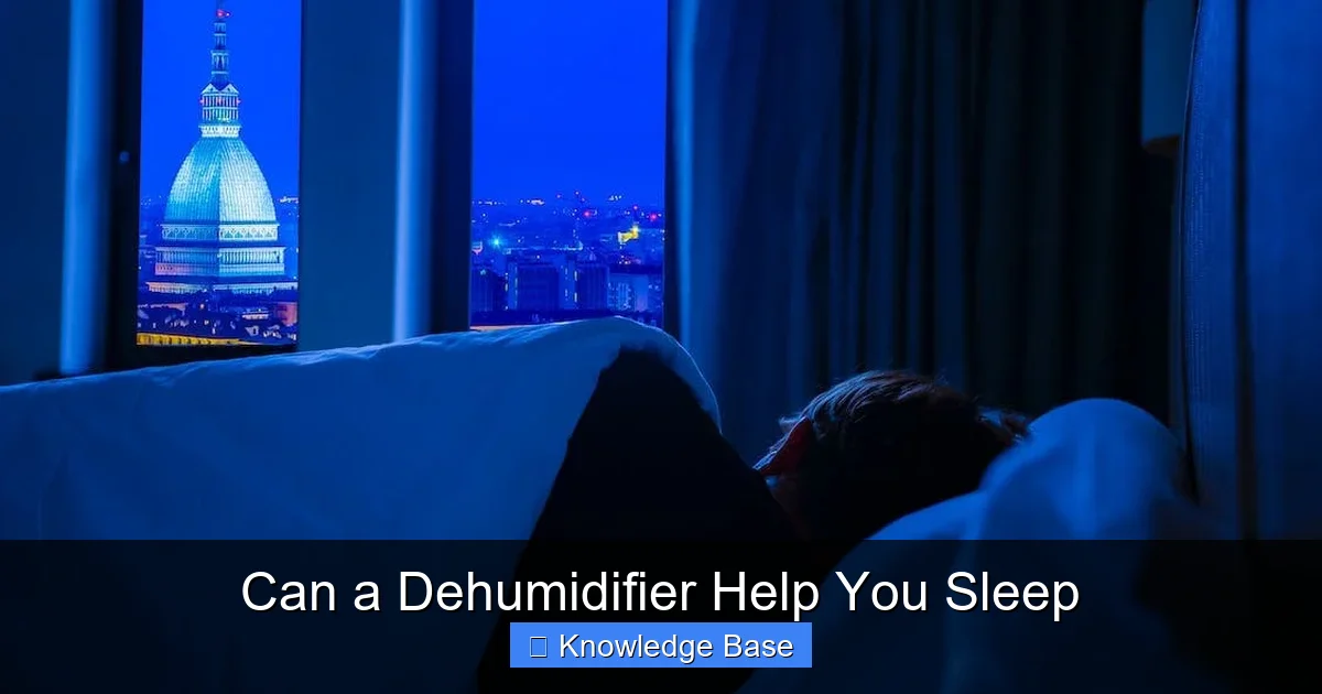 Can a Dehumidifier Help You Sleep