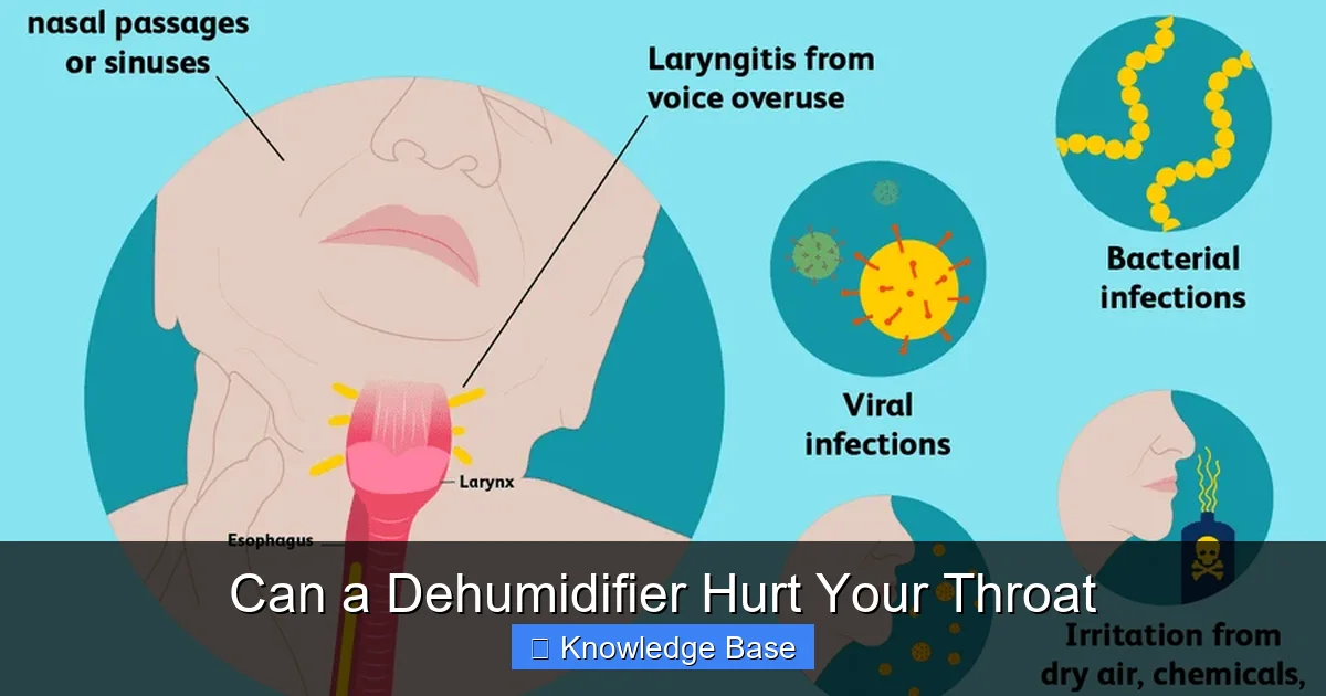 Can a Dehumidifier Hurt Your Throat