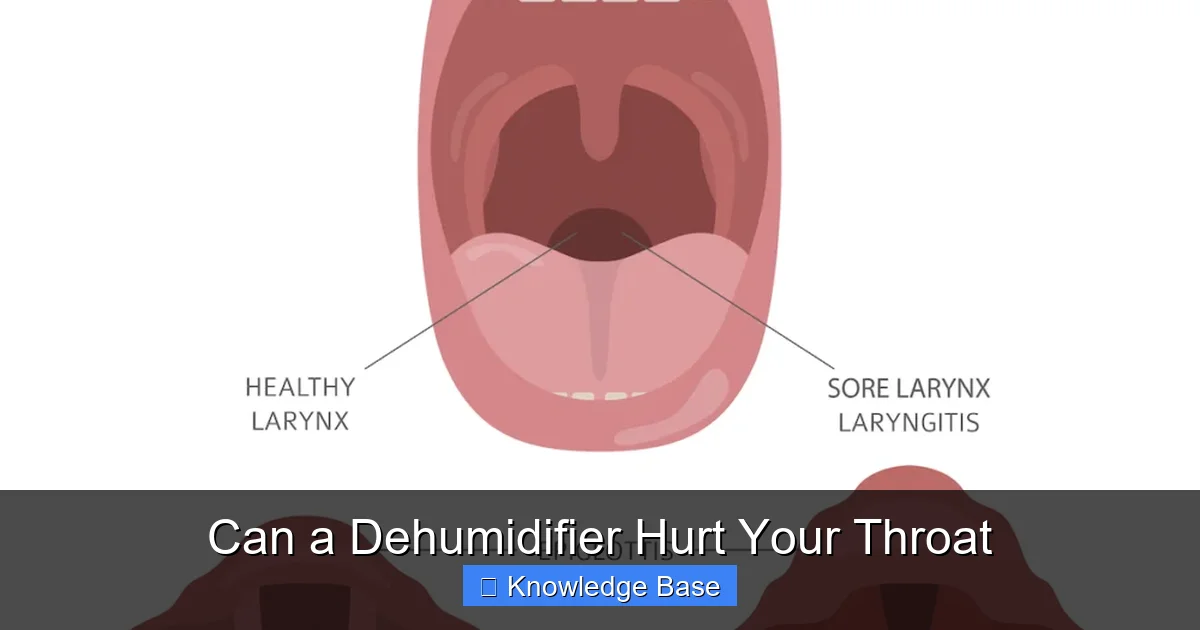 Can a Dehumidifier Hurt Your Throat