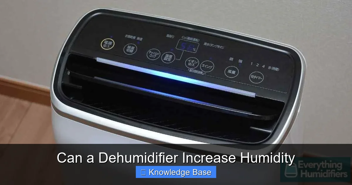 Can a Dehumidifier Increase Humidity