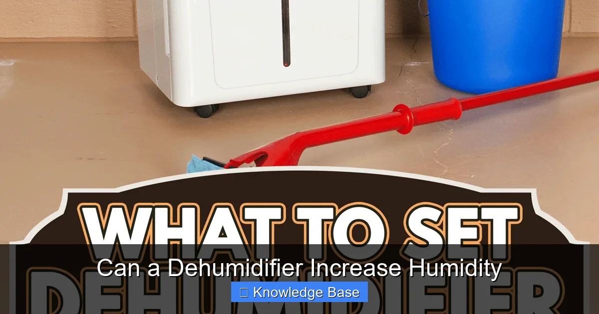 Can a Dehumidifier Increase Humidity