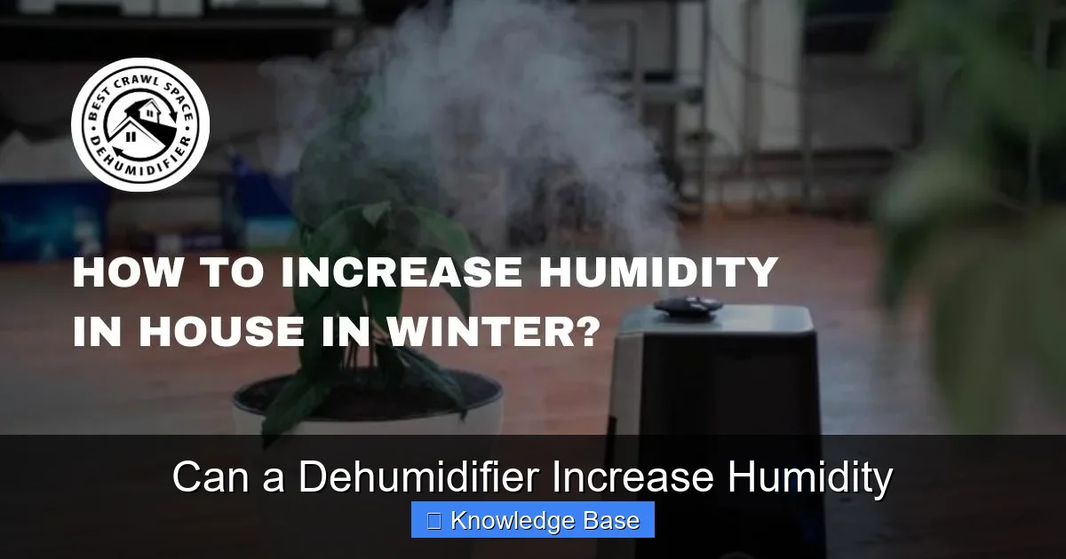 Can a Dehumidifier Increase Humidity