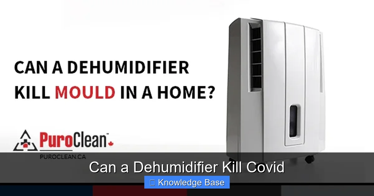 Can a Dehumidifier Kill Covid