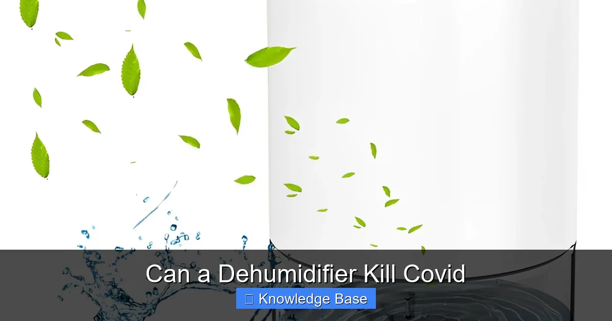 Can a Dehumidifier Kill Covid